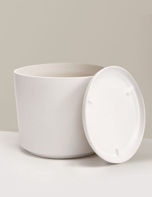 Revival Planter with Saucer